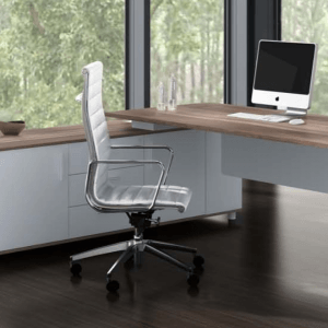 Escritorio gerencial