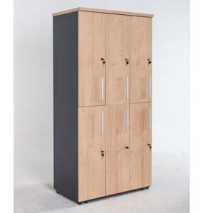 Locker de oficina