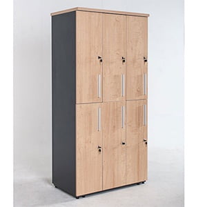 Locker de Oficina